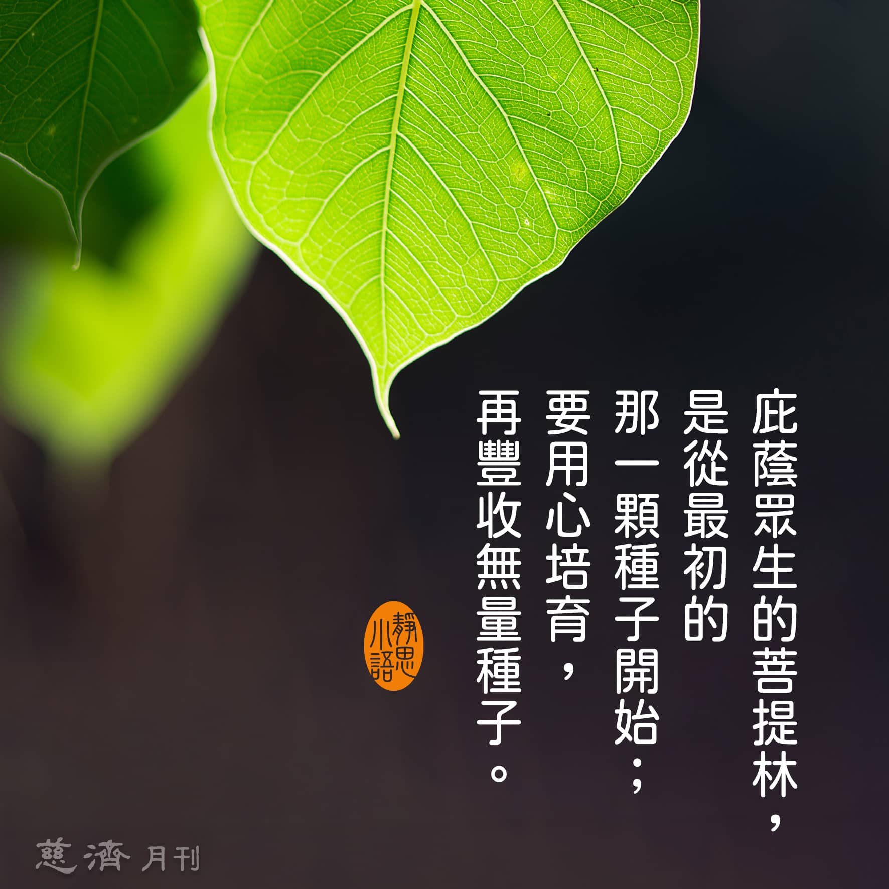 二十四日 從「一」生無量 - 慈濟月刊｜美善故事的心靈故鄉