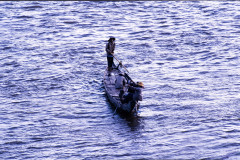 Dharma Master Cheng Yen