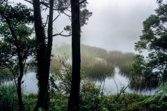 Dharma Master Cheng Yen