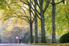 Dharma Master Cheng Yen