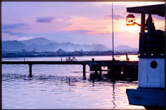 Dharma Master Cheng Yen